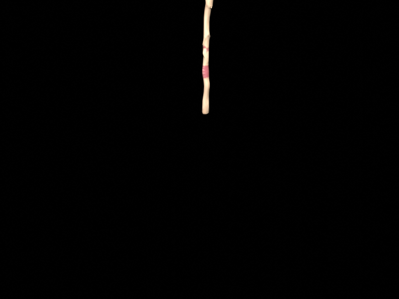 Oak Staff